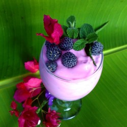 Creamy Dessert Yogurt Wildberry...